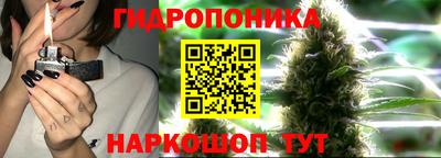 мяу мяу мука Обь