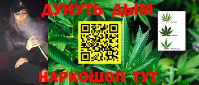 МДПВ Партизанск