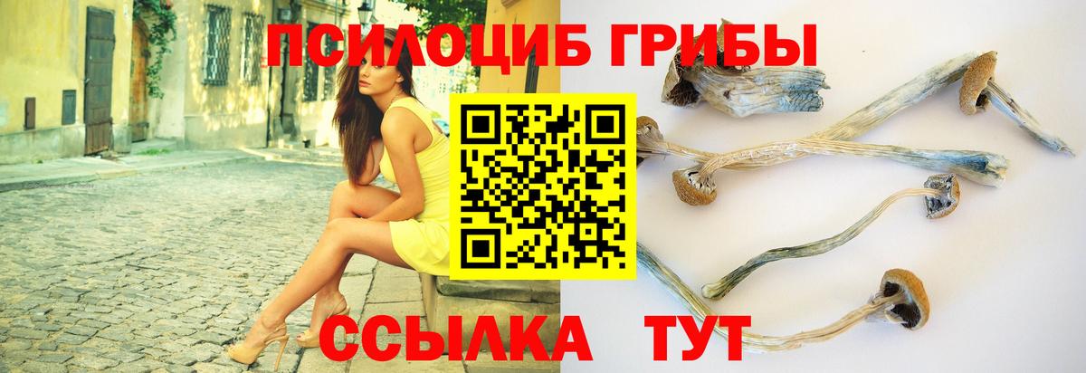 Галлюциногенные грибы прущие грибы Петропавловск-Камчатский