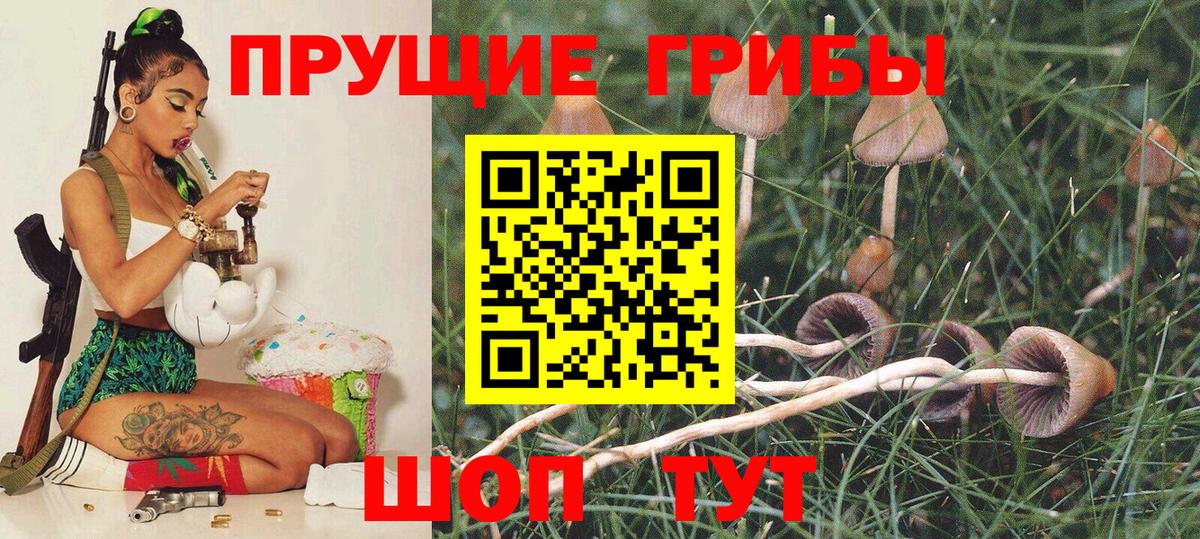 Галлюциногенные грибы Cubensis  Вход с VPN  Петропавловск-Камчатский  хочу   Псилоцибиновые грибы Psilocybine cubensis 